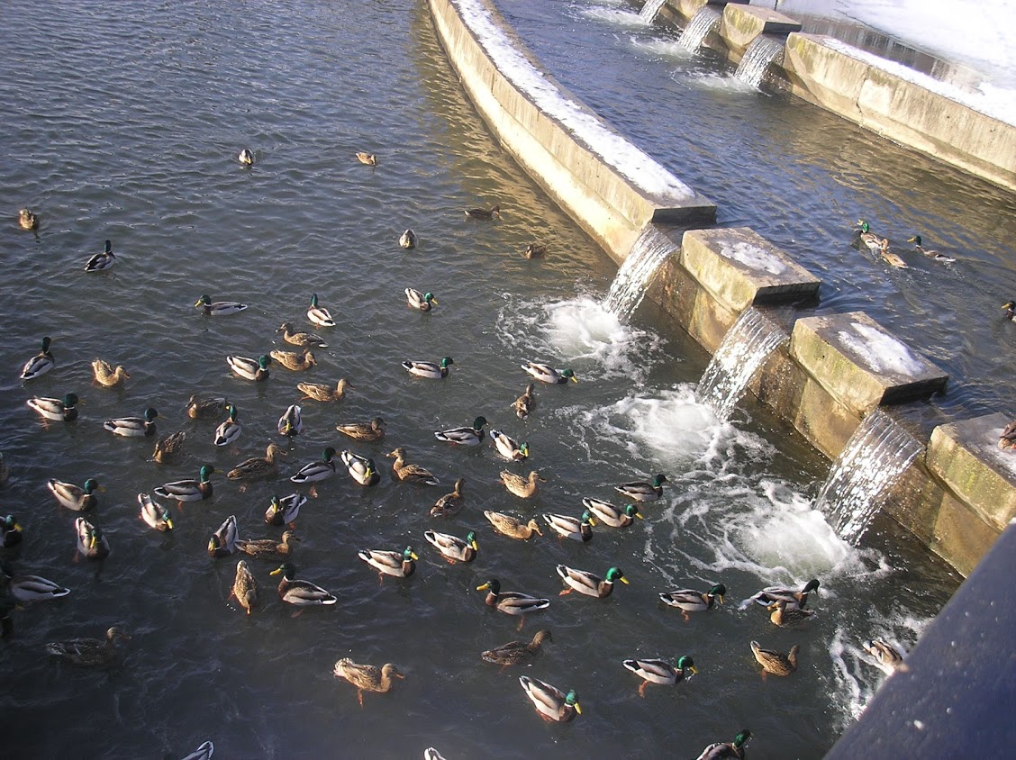2011.01 Могилев